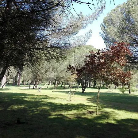 Zamora Apartments